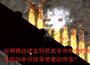 �����ս����������ʥ�����еľ�ӢBOSS���������ܼ�ս��У�
