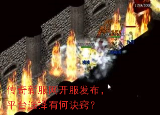 �����·�������������ƽ̨ѡ���кξ��ϣ�