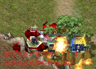���Ŵ���ʬħ����ô�ߣ���ϸ·�߹��Դ�������̽��