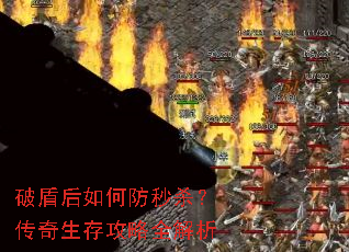 �ƶܺ���η���ɱ���������湥��ȫ����
