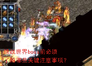 ��ս����bossǰ�����˽���Щ�ؼ�ע�����