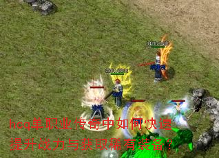 hcq��ְҵ��������ο�������ս�����ȡϡ��װ����