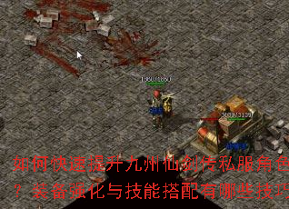 如何快速提升九州仙剑传私服角色战力?装备强化与技能搭配有哪些技巧? 如何快速提升九州仙剑传私服角色战力?装备强化与技能搭配有哪些技巧?