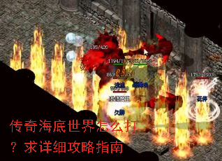 ���溣��������ô������ϸ����ָ��