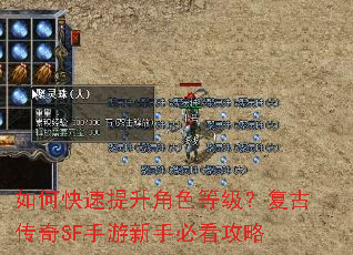 如何快速提升角色等级?复古传奇SF手游新手必看攻略 如何快速提升角色等级?复古传奇SF手游新手必看攻略