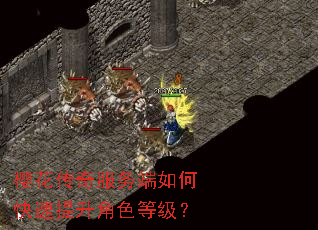 樱花传奇服务端如何快速提升角色等级? 樱花传奇服务端如何快速提升角色等级?