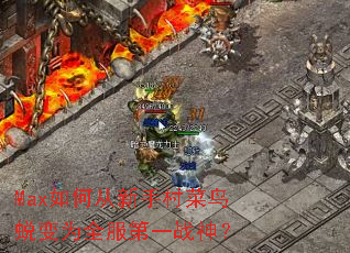 Max如何从新手村菜鸟蜕变为全服第一战神? Max如何从新手村菜鸟蜕变为全服第一战神?