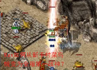 Max如何从新手村菜鸟蜕变为全服第一战神? Max如何从新手村菜鸟蜕变为全服第一战神?