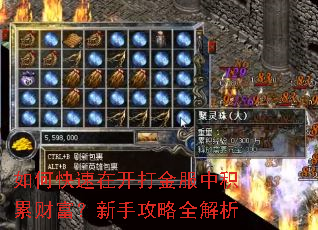 如何快速在开打金服中积累财富?新手攻略全解析 如何快速在开打金服中积累财富?新手攻略全解析