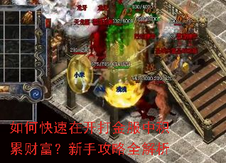 如何快速在开打金服中积累财富?新手攻略全解析 如何快速在开打金服中积累财富?新手攻略全解析