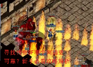 寻找传奇SF哪个网站更可靠?新手必看攻略解析 寻找传奇SF哪个网站更可靠?新手必看攻略解析