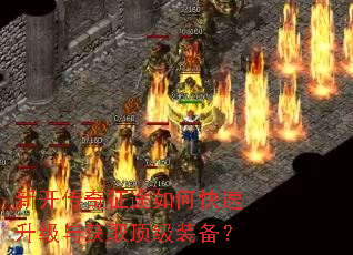 新开传奇征途如何快速升级与获取顶级装备? 新开传奇征途如何快速升级与获取顶级装备?