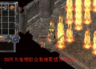 如何为宠物职业装搭配提升战力? 如何为宠物职业装搭配提升战力?