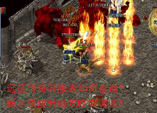 Զ�����濪������β�ѯ�����ֿ���������������Щ��