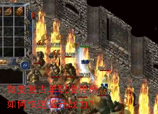 ΢�临�ŵ�ְҵ������ο�������ս����
