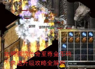 如何获取传奇至尊金币码?快速升级攻略全解析 如何获取传奇至尊金币码?快速升级攻略全解析