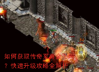 如何获取传奇至尊金币码?快速升级攻略全解析 如何获取传奇至尊金币码?快速升级攻略全解析