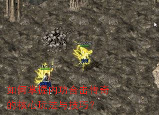 ��������ڹ��ϻ�����ĺ����淨�뼼�ɣ�