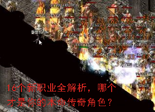 16����ְҵȫ�������ĸ�������ı��������ɫ��