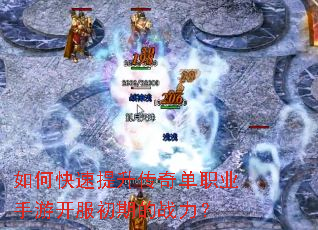 ��ο����������浥ְҵ���ο������ڵ�ս����