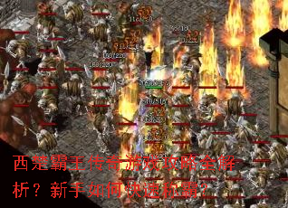 西楚霸王传奇游戏攻略全解析?新手如何快速称霸? 西楚霸王传奇游戏攻略全解析?新手如何快速称霸?