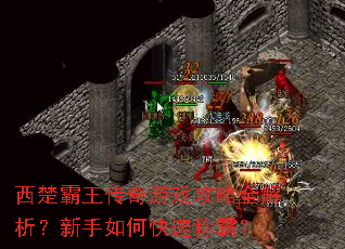 西楚霸王传奇游戏攻略全解析?新手如何快速称霸? 西楚霸王传奇游戏攻略全解析?新手如何快速称霸?