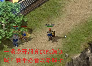 一条龙开服真的能赚钱吗?新手必看攻略解析 一条龙开服真的能赚钱吗?新手必看攻略解析