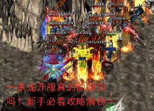 一条龙开服真的能赚钱吗?新手必看攻略解析 一条龙开服真的能赚钱吗?新手必看攻略解析
