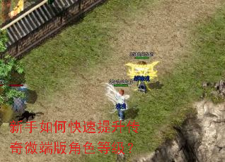 新手如何快速提升传奇微端版角色等级? 新手如何快速提升传奇微端版角色等级?