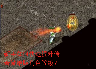 新手如何快速提升传奇微端版角色等级? 新手如何快速提升传奇微端版角色等级?