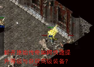 新开原始传奇如何快速提升等级与获取高级装备? 新开原始传奇如何快速提升等级与获取高级装备?