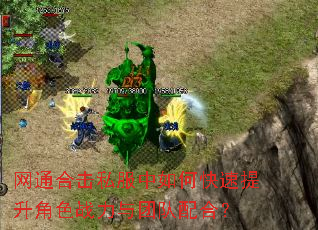 网通合击私服中如何快速提升角色战力与团队配合? 网通合击私服中如何快速提升角色战力与团队配合?