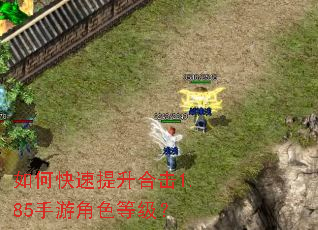 如何快速提升合击1.85手游角色等级? 如何快速提升合击1.85手游角色等级?