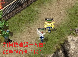 如何快速提升合击1.85手游角色等级? 如何快速提升合击1.85手游角色等级?