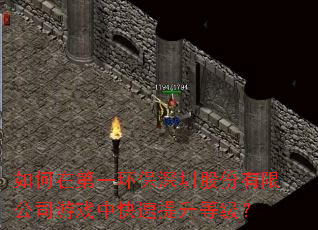 如何在第一环保深圳股份有限公司游戏中快速提升等级? 如何在第一环保深圳股份有限公司游戏中快速提升等级?