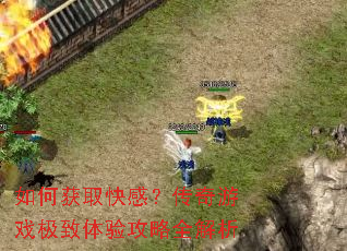 如何获取快感?传奇游戏极致体验攻略全解析 如何获取快感?传奇游戏极致体验攻略全解析