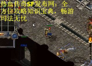 热血传奇SF发布网：全方位攻略知识宝典，畅游玛法无忧